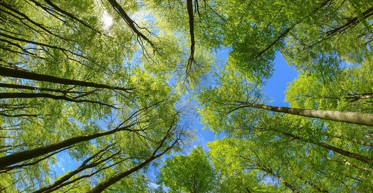 Environmental safeguarding and Protection